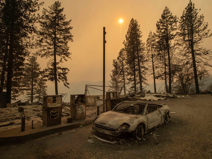 Cảnh tượng đau thương trong vụ cháy rừng ở California: Nhà cửa tan hoang, động vật bị thiêu chết