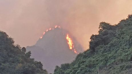 Hà Nam huy động lực lượng ngăn chặn cháy rừng lan rộng