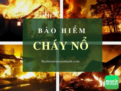 Lý do tại sao nên mua bảo hiểm cháy nổ bắt buộc